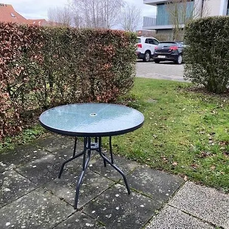 Aalscholver 4 *
